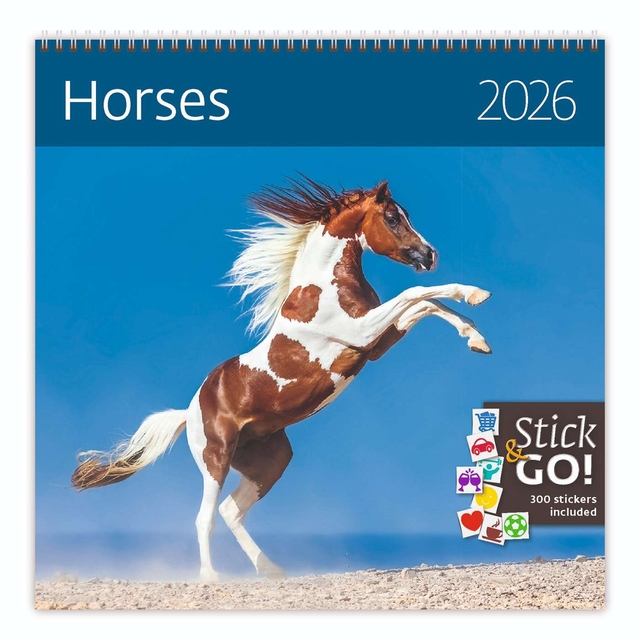 Kalender 2027 Helma 365 30x30cm paarden