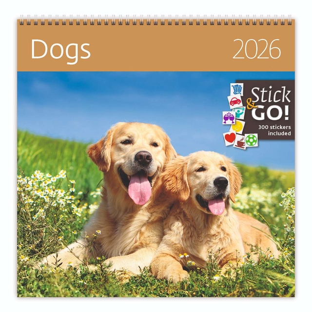 Kalender 2027 Helma 365 30x30cm honden