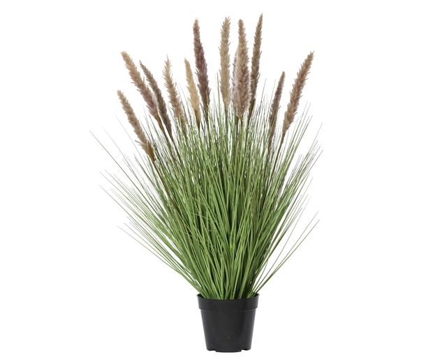 Kunstgras Everlands met pluimen bruin 80cm in pot pvc