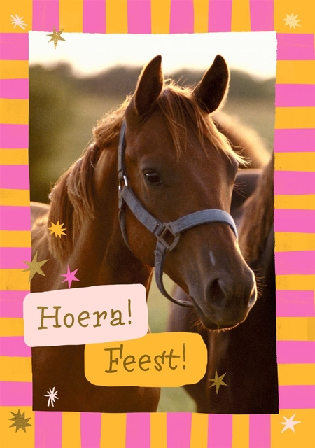 Wenskaart Hallmark uitnodiging paarden pak à 6 stuks