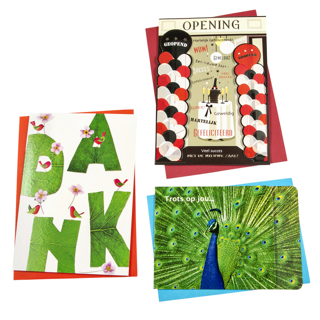 Wenskaart Paperclip diversen navulset à 12 stuks