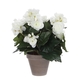 Kunstplant Mica Begonia wit in pot Stan grijs Ø25 30cm