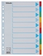 Tabbladen Esselte Standaard A4 10-delig karton 11-rings met voorblad assorti