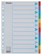 Tabbladen Esselte Standaard A4 12-delig karton 11-rings met voorblad assorti