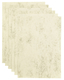 Kopieerpapier Papicolor A4 90gr 12 vel marble ivoor